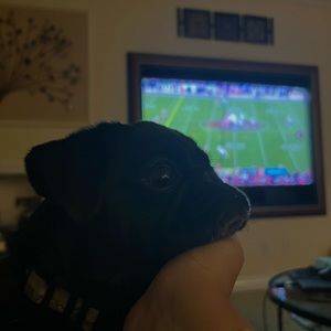 Meet your Posher, Tara